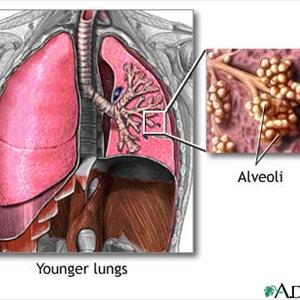 Cures For Chronic Bronchitis - Bronchitis Education - A Brief Explanation From The Disease