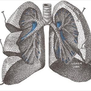 Chronic Bronchitis Inhaler 