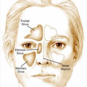 Chest X-Ray For Bronchitis - Fast Acting Bronchodilator Albuterol Is Among The Oldest Bronchial Asthma Treatment Drugs