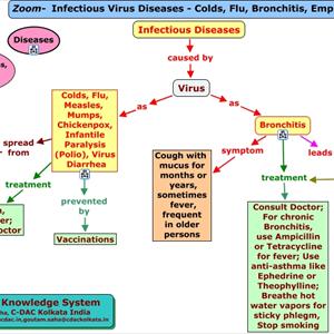 What Bronchitis - The Correct Bronchitis Treatment