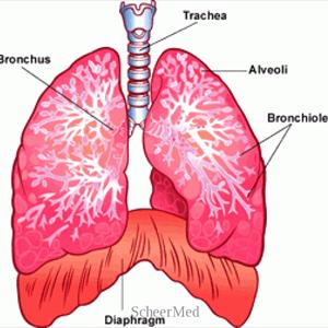 Lung Natural Medication For Bronchitis - Giving Up Smoking - And The Radioactive Factors Within Cigarettes!