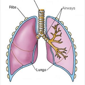  Can Bronchitis Always Be Contageous